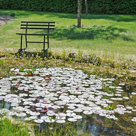 Am Fischadlerhorst Daire