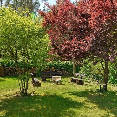 Apartment Am Fischadlerhorst